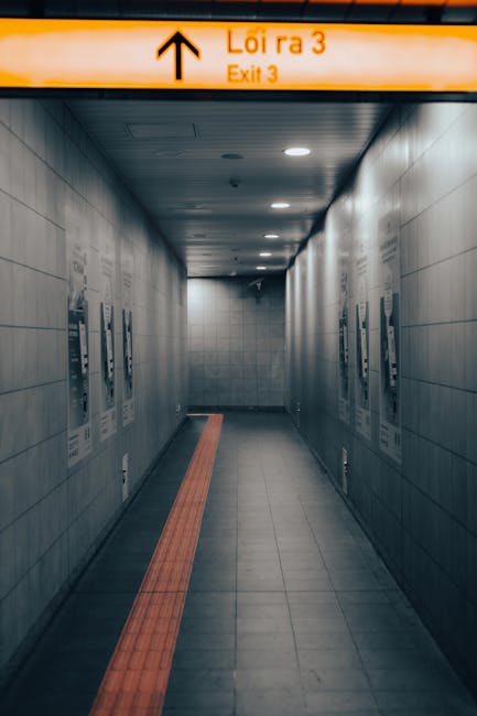 Exit path indicating the way forward